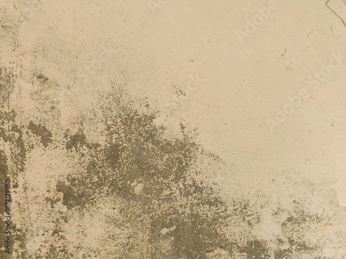 Grunge Texture. Monochrome retro grunge texture illustration. Abstract background with aged old rust.For usage of posters banners and designs.texture textures with scratches and cracks.white painted.