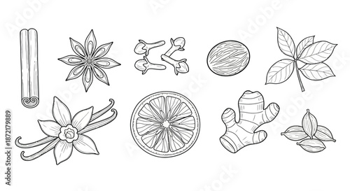 Collection of spices and herbs