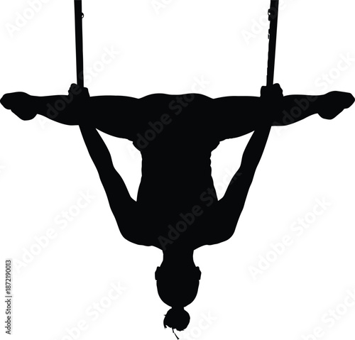 Silhouette of a person performing an aerial split on a trapeze bar with arms outstretched aerialist