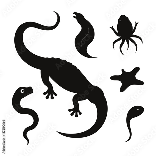 vector illustration of a dinosaur