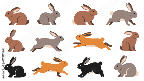 Rabbit and Hare Vector Illustration Set, Different Breeds of Bunnies Sitting, Jumping and Running Isolated on White Background