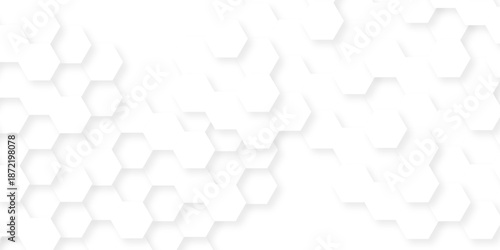 Abstract white grid presentation surface mosaic and tiles minimal tech bee website science element grid overlay white hexagon futuristic technology geometric texture background.