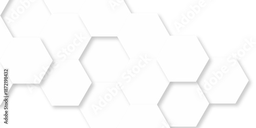 Abstract white grid presentation surface mosaic and tiles minimal tech bee website science element grid overlay white hexagon futuristic technology geometric texture background.