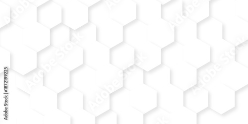 Abstract white grid presentation surface mosaic and tiles minimal tech bee website science element grid overlay white hexagon futuristic technology geometric texture background.