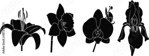 Minimalist businesswoman working on laptop, freelancer concept, flat design