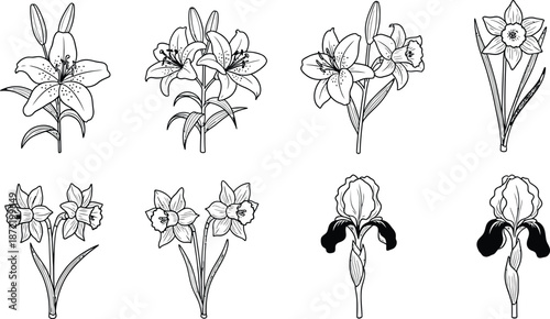 Minimalist businessman silhouette, professional success, office concept