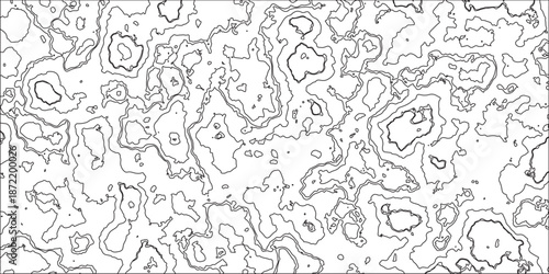  Black and white topography contour lines map isolated on white background. vector geographic contour mounted map background. Panorama view gradient multicolor wave curve lines banner background .