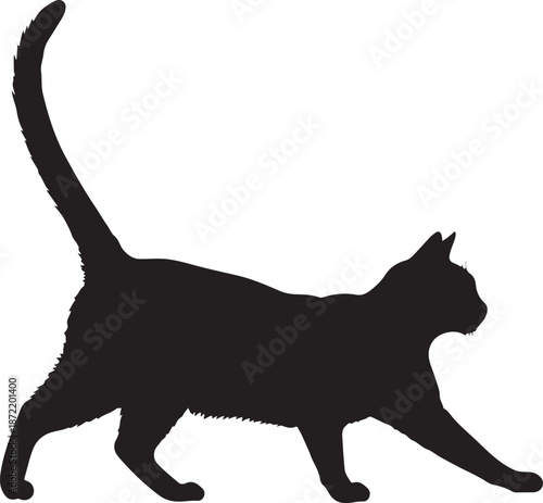 Shorthair cat vector.eps
