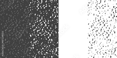 Abstract black and white textured background with a distinct vertical division