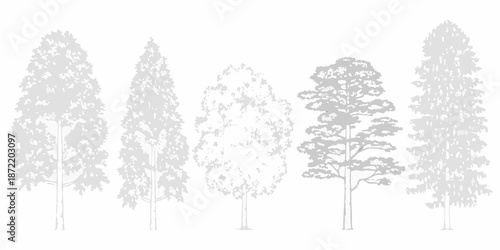 A grayscale illustration of various tree shapes and foliage patterns