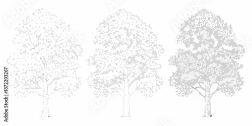 Three trees depicted with varying levels of detail and shading
