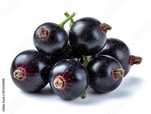 Close-up of ripe black berries with green stems