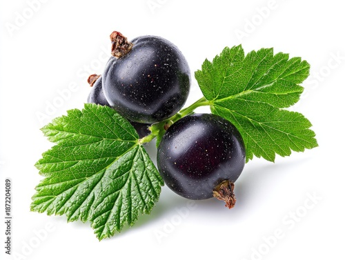 Close-up of ripe black currants with green leaves on white background