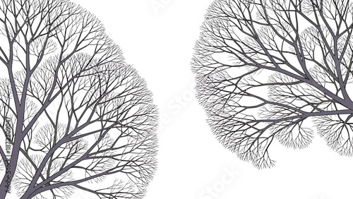 bare tree branches illustration framing a white background with ample copy space for seasonal greeting cards and winter design projects