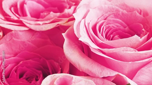 Close-up of pink roses with soft petals and vibrant colors. The arrangement showcases various sizes and shapes of the flowers, creating a lush floral display.