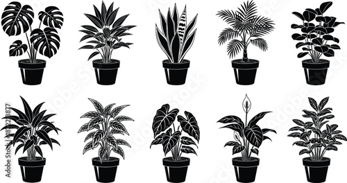 Indoor houseplant vector illustration set, black and white potted tropical plants silhouettes collection for modern home decor, botanical icons, interior design projects