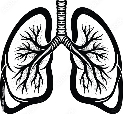 Human lungs anatomy vector illustration, black and white medical respiratory system artwork with bronchial details, minimalist line art design for healthcare education