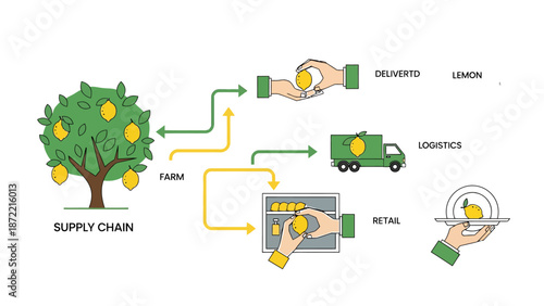 lemon supply chain management illustration detailing farm to consumer delivery retail distribution and logistics processes for fresh produce