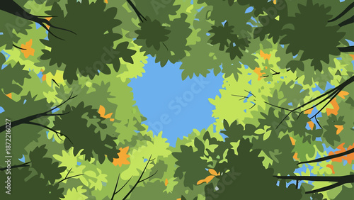looking up at a vibrant forest canopy with green and autumn leaves against a clear blue sky a natural background for environmental themes.