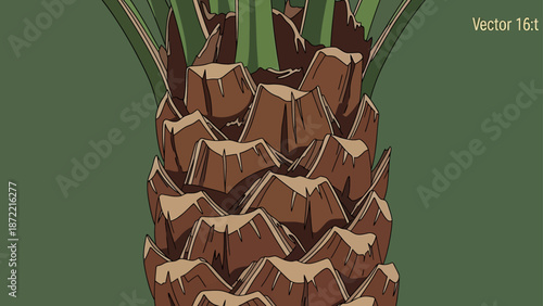 palm tree trunk texture close-up displaying an organic natural pattern useful for tropical backgrounds and ecological design projects