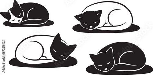 Cute sleeping cats in black and white illustration