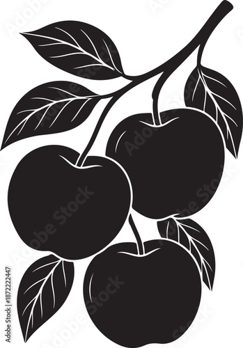Black and white of three plums on a branch with leaves