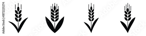 Spring Wheat Silhouette Vector Set – Black Agricultural Plant Icons, Farm Crop Ears and Grain Illustration for Nature, Harvest, Agriculture, Organic, and Seasonal Design Projects