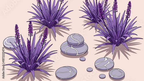 purple ornamental plants with flowering spikes and smooth decorative zen stones arranged in a minimalist garden setting for modern interior design background