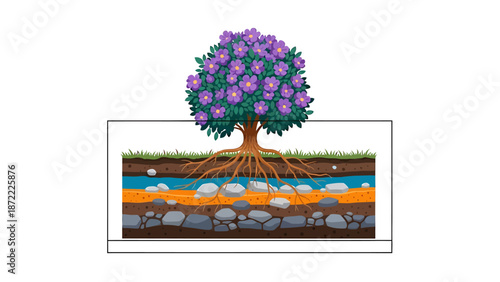 tree roots underground in a soil cross section illustrating earth layers groundwater topsoil and rocks for environmental science education.