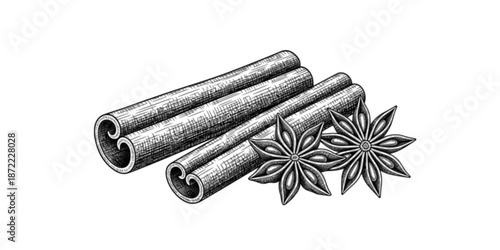 Cinnamon sticks and star anise, isolated on white background. Engraving style vector illustration.
