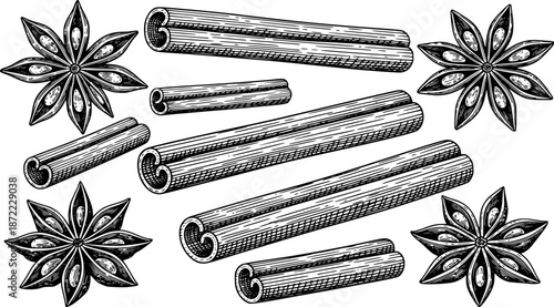 Cinnamon sticks and star anise, isolated on white background. Engraving style vector illustration.

