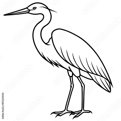 Heron line art vector