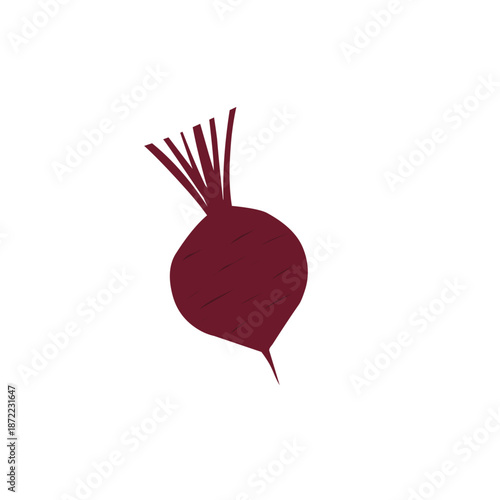 Illustration of a whole beetroot. Flat design of beetroot. Healthy vegetable. Healthy food. Illustration of tuber