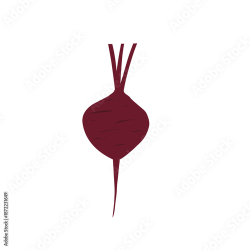 Illustration of a whole beetroot. Flat design of beetroot. Healthy vegetable. Healthy food. Illustration of tuber