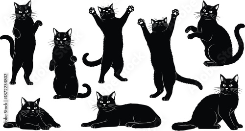 Black cat silhouettes standing sitting jumping and lying set isolated on white background for pet illustration cute animal design and playful collection