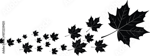 Black Silhouette of Flying Autumn Maple Leaves in Wind Isolated on White Background for Seasonal Fall Nature and Decorative Concepts