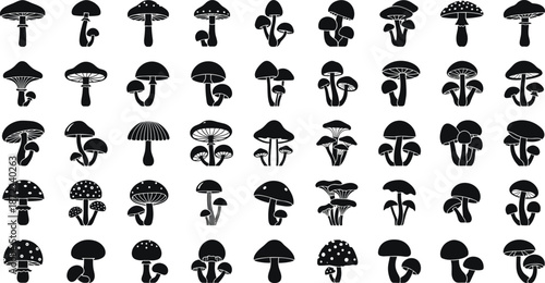 Mushroom silhouette collection, black forest fungi icons, botanical nature symbols, edible and wild mushrooms, isolated vector illustration set
