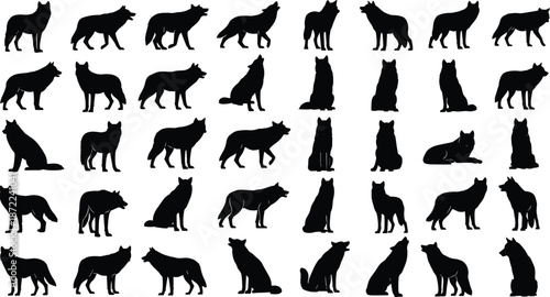 Wolf silhouette collection, wild animal poses, howling and walking wolves, black wildlife illustration, forest predator, nature animal design