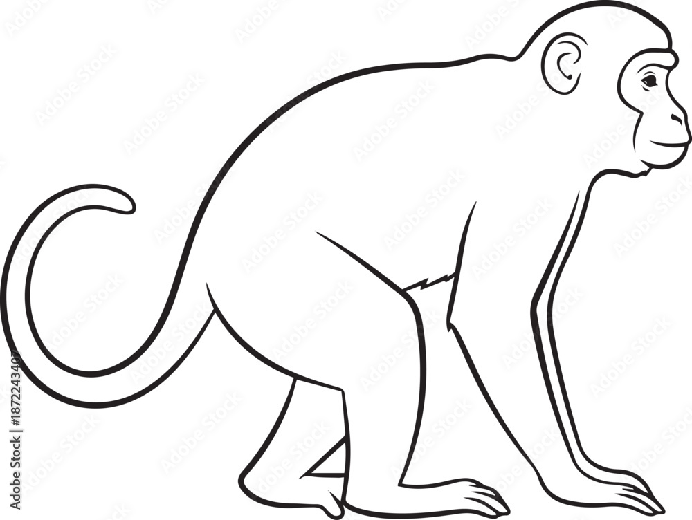 Obraz premium silhouette of clean vector of Monkey isolated on white background