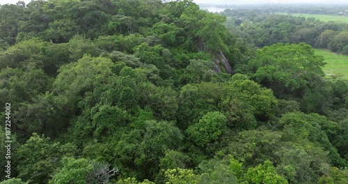 Aerial View of Dark Rock Formations and Tropical Forest around Sigiriya, Sri Lanka