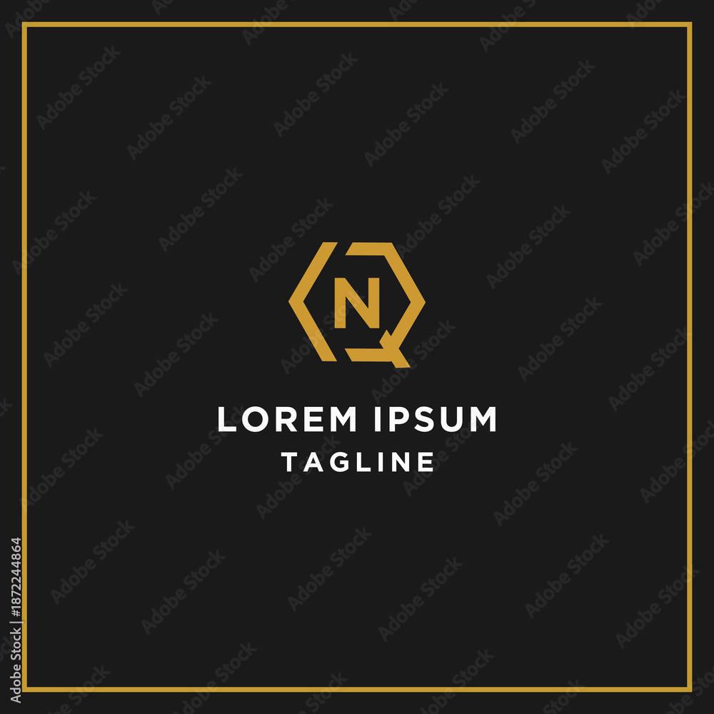 Fototapeta premium qn or nq hexagon logo