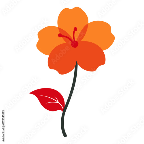 diascia perennial apricot queen silhouette on white background 