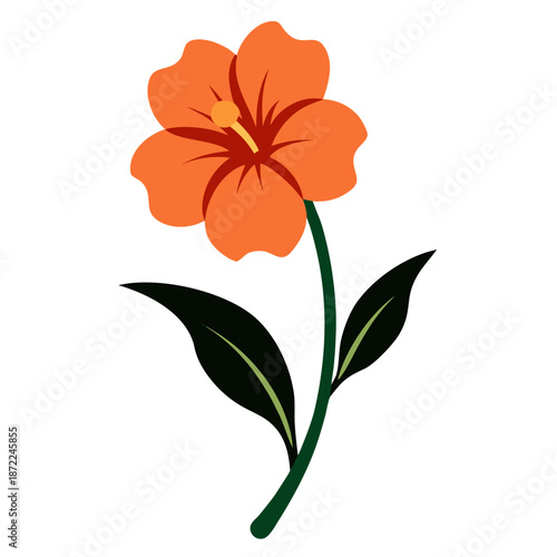 diascia perennial apricot queen vector silhouette on white background 