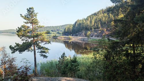 Summer morning view of the tranquil Lake Ladoga in Karelia, with a solitary pine tree framing the calm water, lush forest, and a winding road along the shore