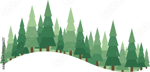 Pine forest illustration, green evergreen trees landscape, flat vector nature background, woodland scenery, isolated on white, eco friendly environment design