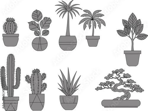 Potted plant collection, indoor greenery, cactus, bonsai, leafy foliage, decorative pots, botanical variety, houseplants, minimal style, black white, graphic