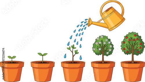 Five potted plants showing the growth stages from seedling to fruit tree Keywords: plant growth, seedling, sprout, sapling, tree