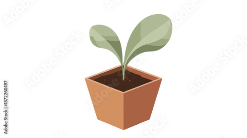 A potted plant with two green leaves.