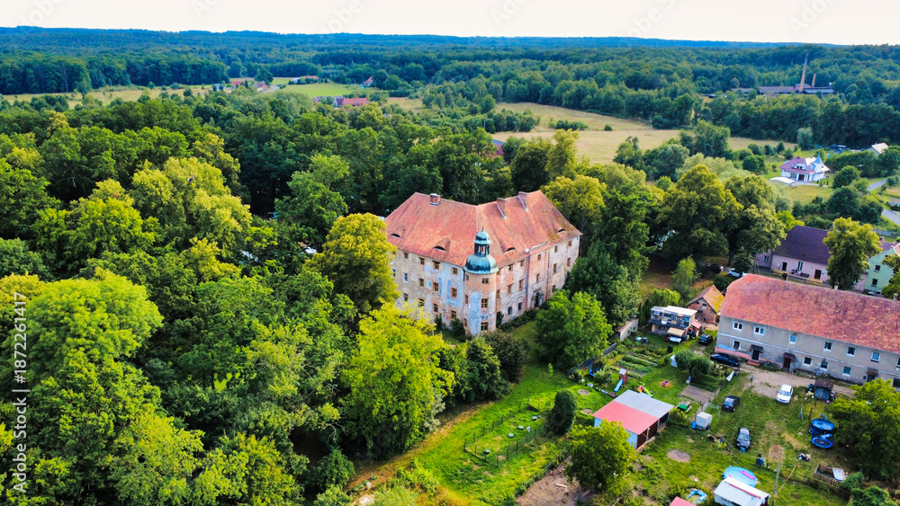 Obraz premium castle in the trees