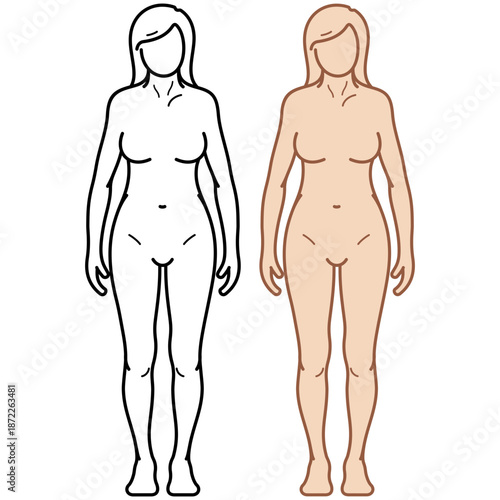 Front view of female body silhouettes in two styles, linear black outline and flat color vector illustration. Universal woman anatomy template for medical, fitness, and healthcare design.